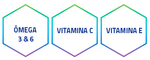 Como-manter-o-pelo-saudável-de-cães-e-gatos-banner-petspa-vitaminas1