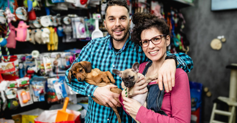 A importância do networking e das parcerias estratégicas no mercado pet