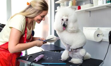 Principais tendências da Indústria Pet em 2023