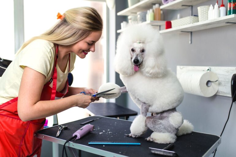 Principais tendências da Indústria Pet em 2023