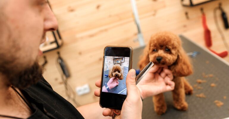 A importância da fotografia no segmento pet care