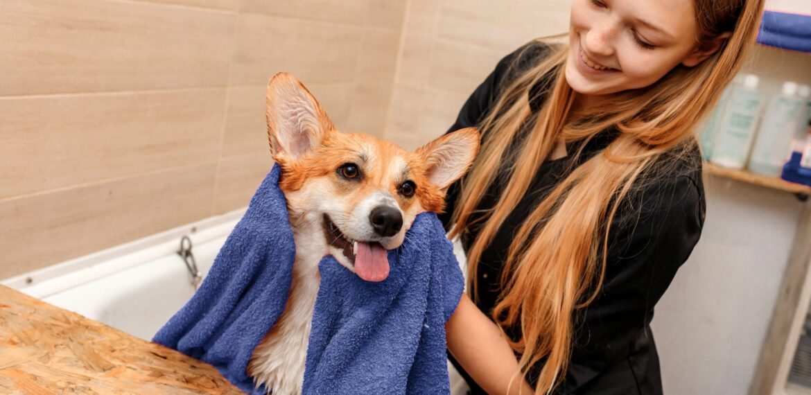 A importância dos protocolos de higiene nos serviços de banho e tosa