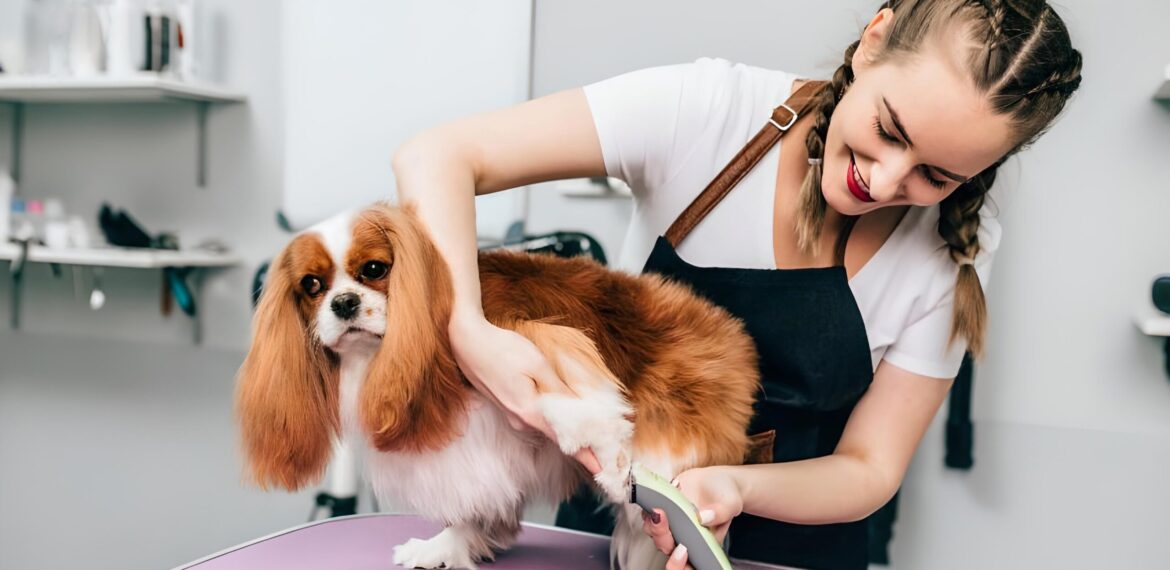 A importância dos aparadores de unhas no trabalho do groomer