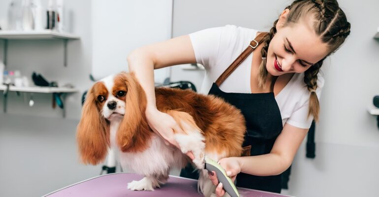 A importância dos aparadores de unhas no trabalho do groomer