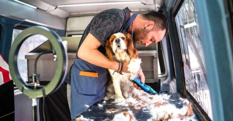 Banho e tosa móvel: saiba tudo sobre essa nova tendência no mercado pet