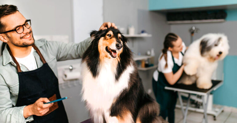 Perguntas que todo groomer deve estar preparado para responder