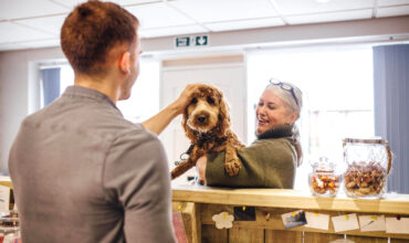 Banho e tosa: como conquistar a lealdade e confiança dos clientes?