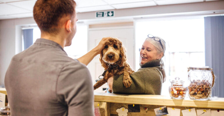 Banho e tosa: como conquistar a lealdade e confiança dos clientes?