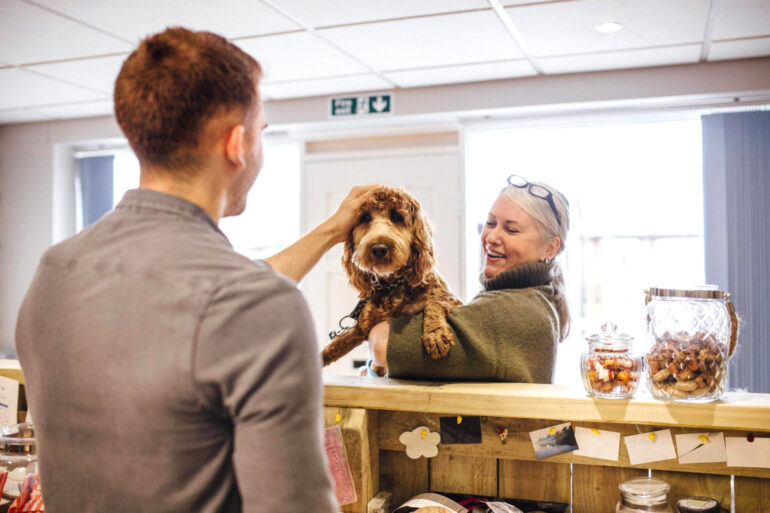 Banho e tosa: como conquistar a lealdade e confiança dos clientes?