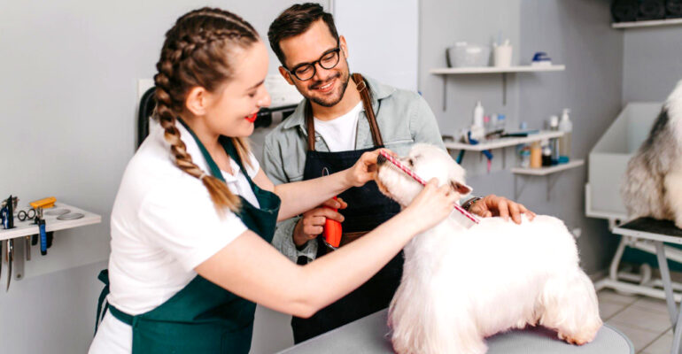 Como evitar a ausência dos clientes: dicas para groomers profissionais!