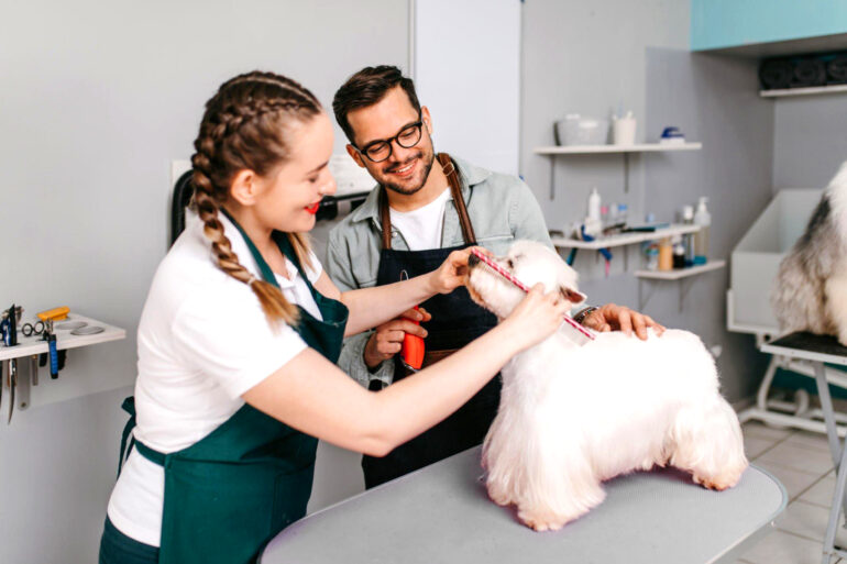 Como lidar com pelos emaranhados: dicas essenciais para groomers e tosadores!