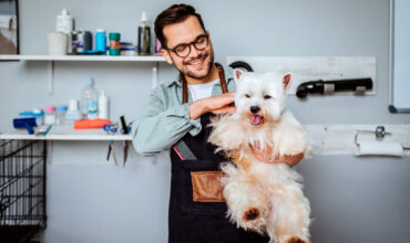 O papel do groomer nos cuidados com a pele e o pelo dos pets