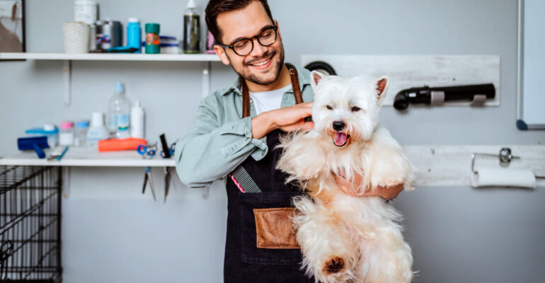 O papel do groomer nos cuidados com a pele e o pelo dos pets