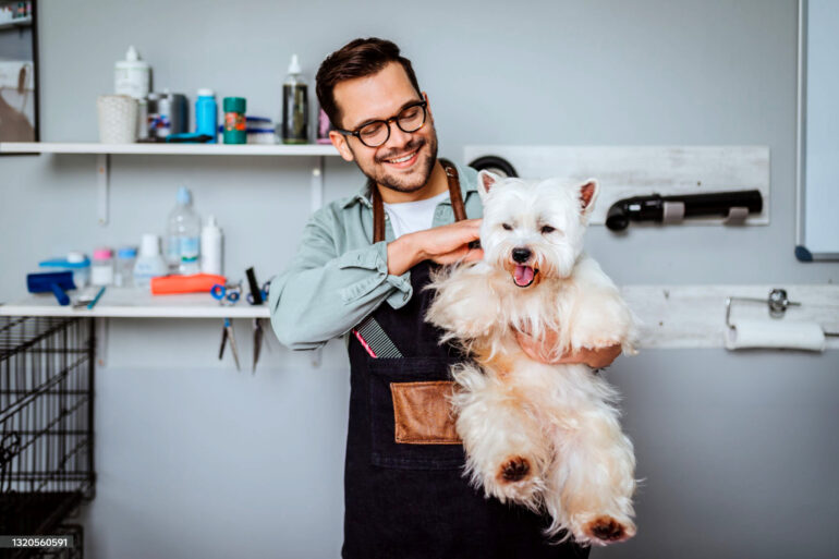O papel do groomer nos cuidados com a pele e o pelo dos pets