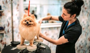 Oportunidades no mercado pet: tendências para 2025!