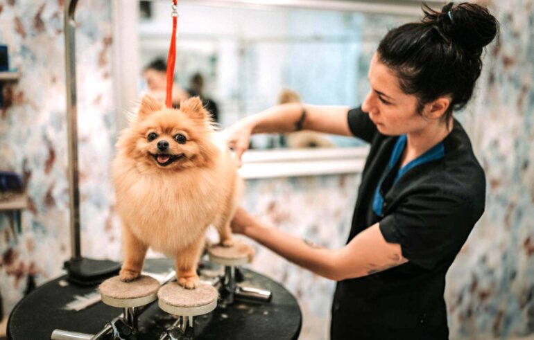 Oportunidades no mercado pet: tendências para 2025!