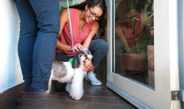 Como identificar bons clientes para o seu banho e tosa?