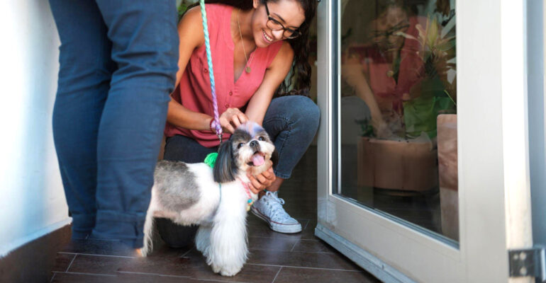 Como identificar bons clientes para o seu banho e tosa?
