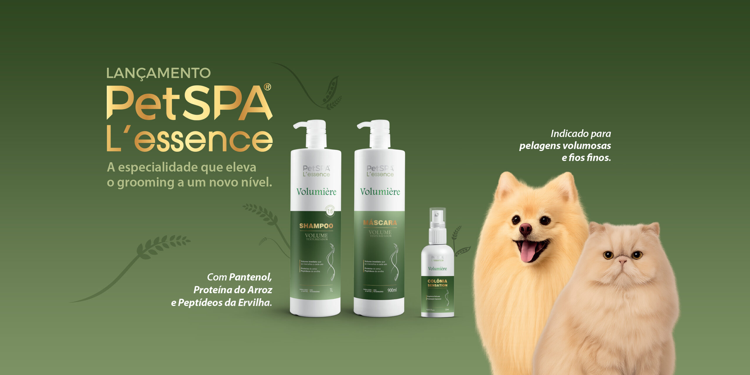 Banner PetSPA L’essence – A inovação da especialidade. A Essência do Cuidado.